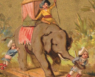 18486.jpg