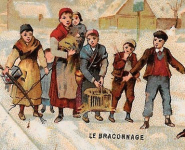 18524.jpg