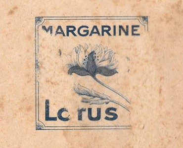 18695.jpg