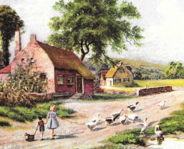 18725.jpg