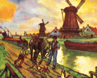 18728.jpg