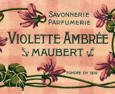 18772.jpg