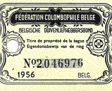19037.jpg