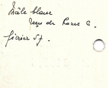 19039.jpg
