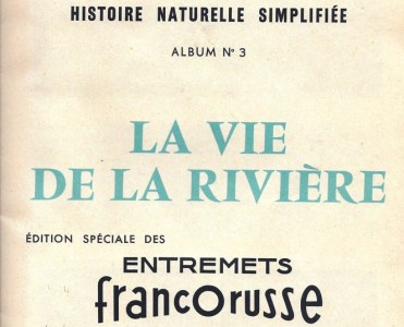 19147.jpg