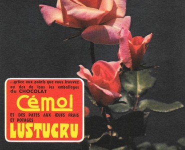 19253.jpg