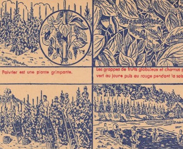 19395.jpg