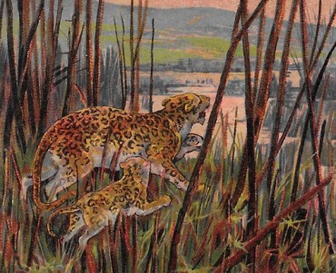 19571.jpg