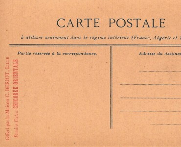 19593.jpg