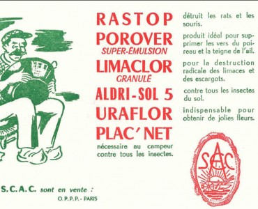 19686.jpg