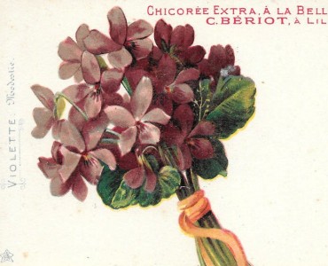 19849.jpg