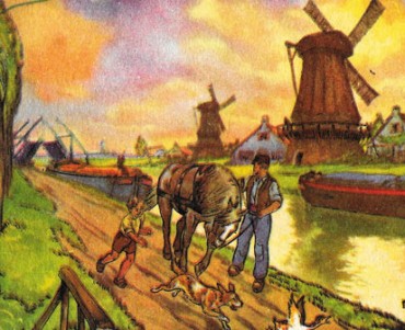 19874.jpg