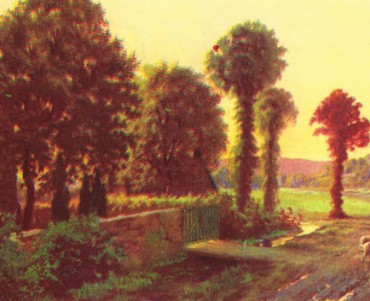 19877.jpg