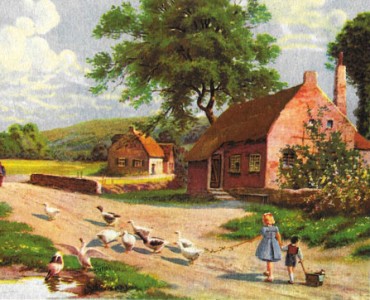 19913.jpg