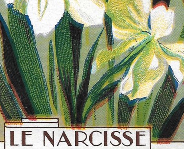 19970.jpg