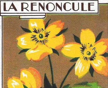 19971.jpg
