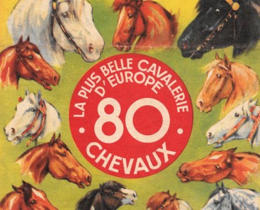 19997.jpg
