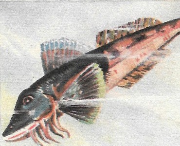 20157.jpg