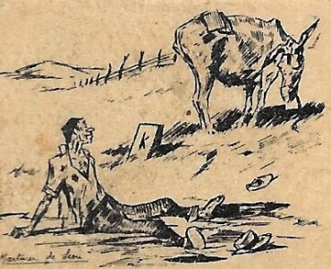 21400.jpg