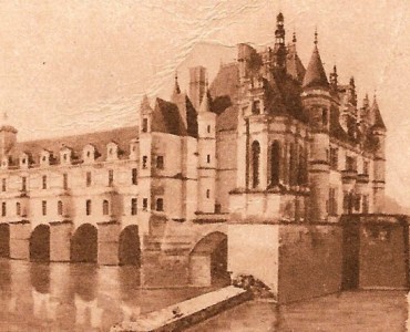 21586.jpg