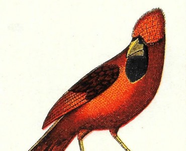21837.jpg