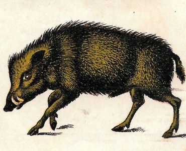 21846.jpg