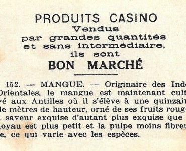 21851.jpg