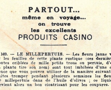 21857.jpg