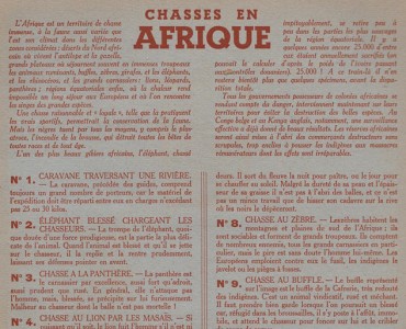 21914.jpg
