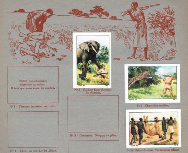 21915.jpg