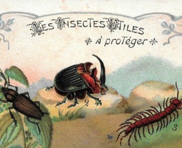2194.jpg