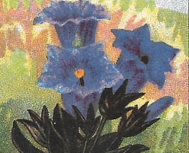 22188.jpg