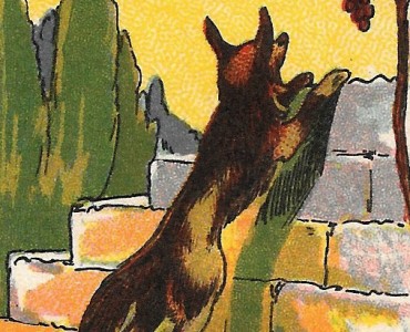 22229.jpg