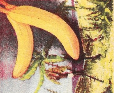 22233.jpg