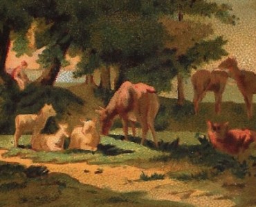 2255.jpg