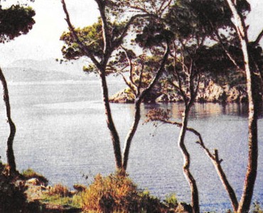 23290.jpg