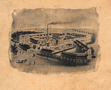 24164.jpg
