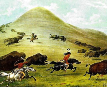 24259.jpg