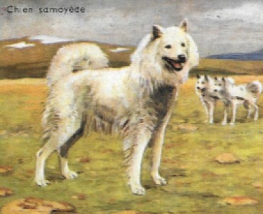 24303.jpg