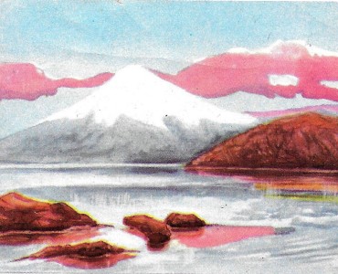 24326.jpg