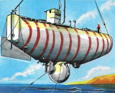 24328.jpg
