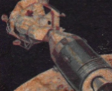 24806.jpg