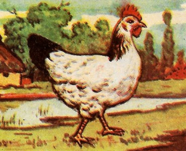 24907.jpg