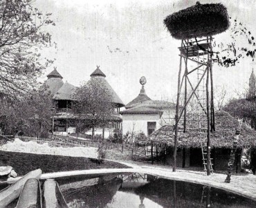 25504.jpg