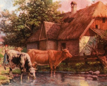 25741.jpg