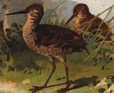 2589.jpg