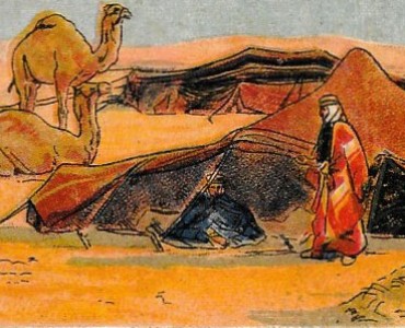 26143.jpg