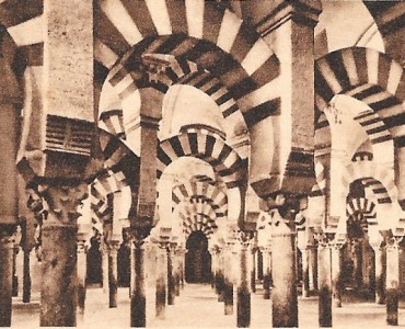 26220.jpg