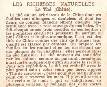28658.jpg