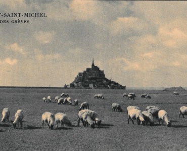 28735.jpg